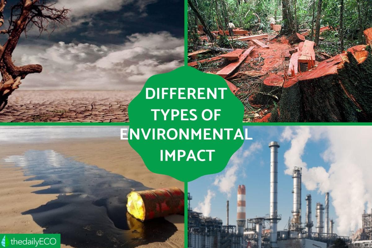 Environmental Impact